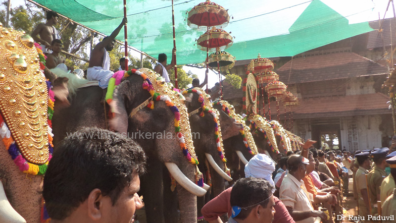 thrissur-pooram-2013-1 (35)